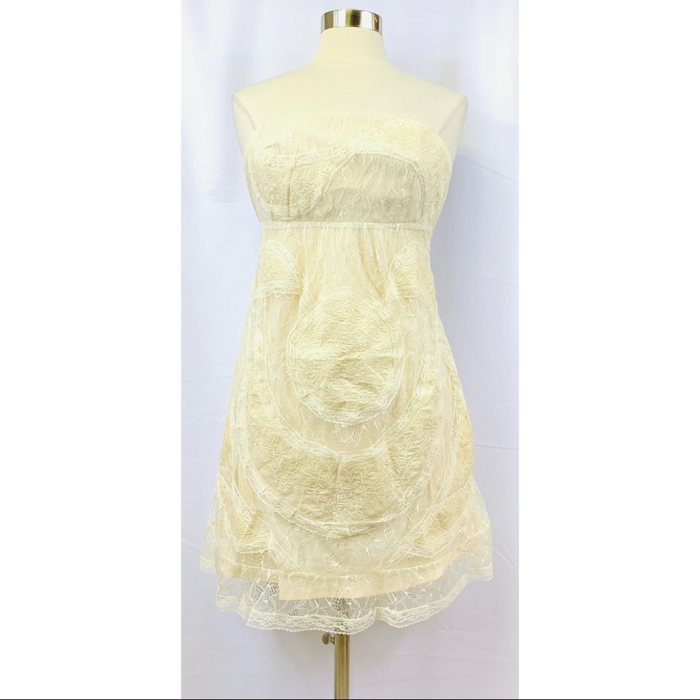 NWT Lucy & Co. Lace Cream Color Strapless Dress L